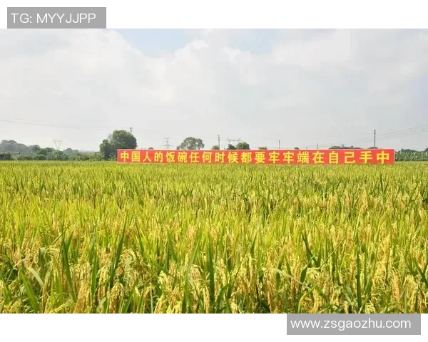 五谷丰登：探索五大主要农作物对中国农业发展的深远影响