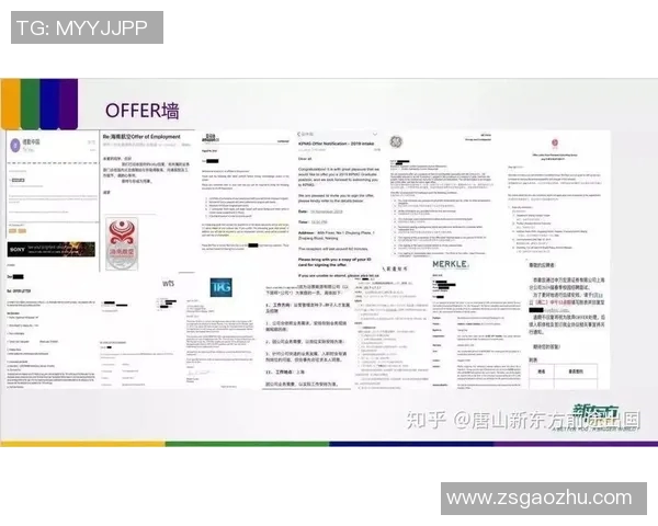 陈伟独家分享网球心得与技巧助你提升球技的全面指南